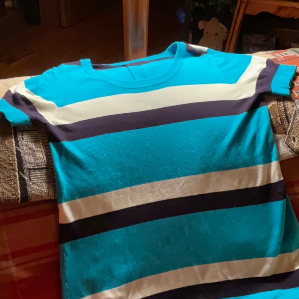 Turquoise black and white stripe sweater
